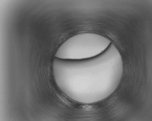 X0000061120265200511241718