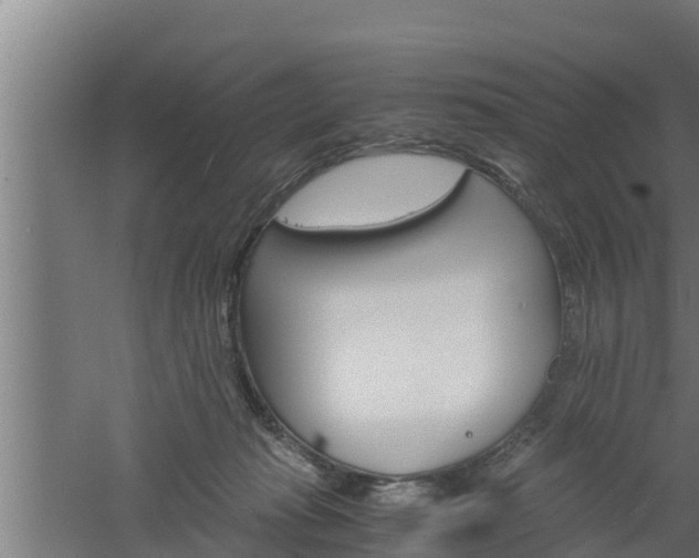 X0000061120269200511241718