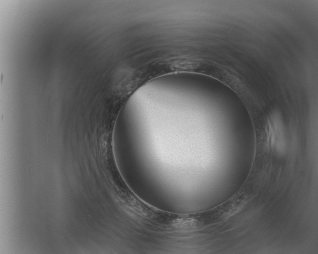 X0000061120271200511241718