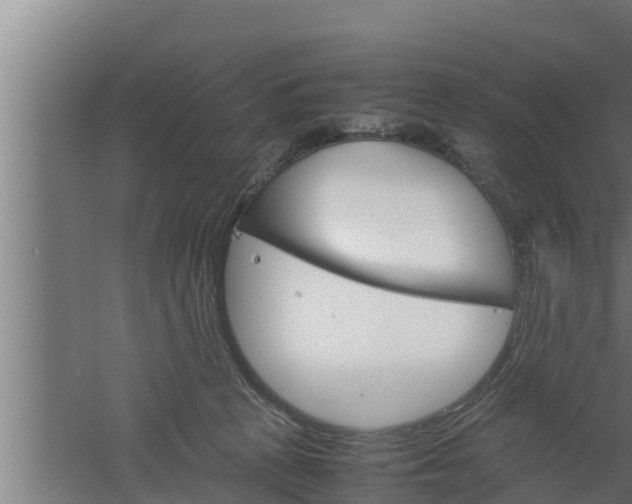 X0000061120273200511241718