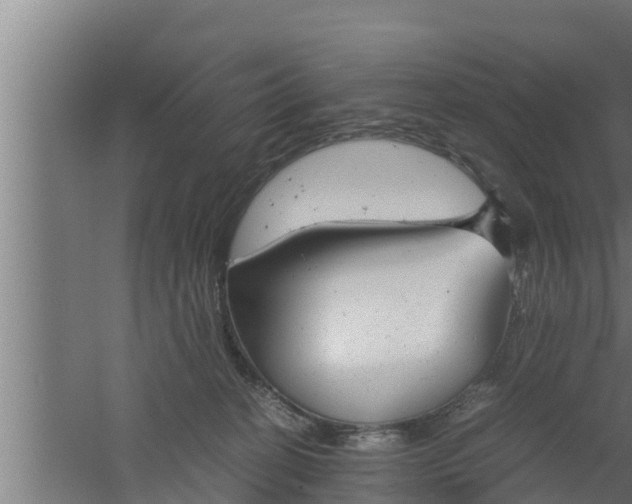 X0000061120274200511241718