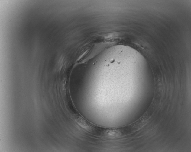 X0000061120275200511241718