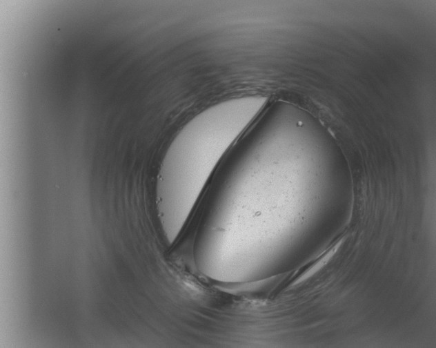 X0000061120276200511241718