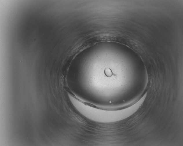 X0000061120278200511241718