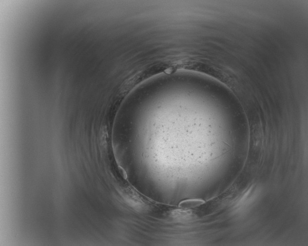 X0000061120279200511241718