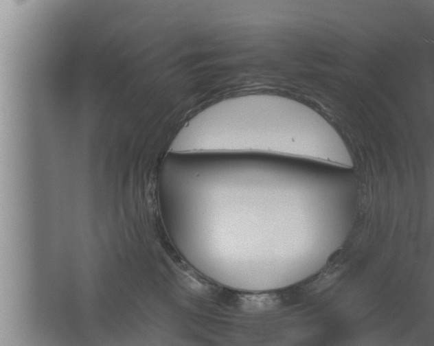 X0000061120281200511241718