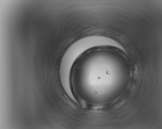 X0000061120284200511241718