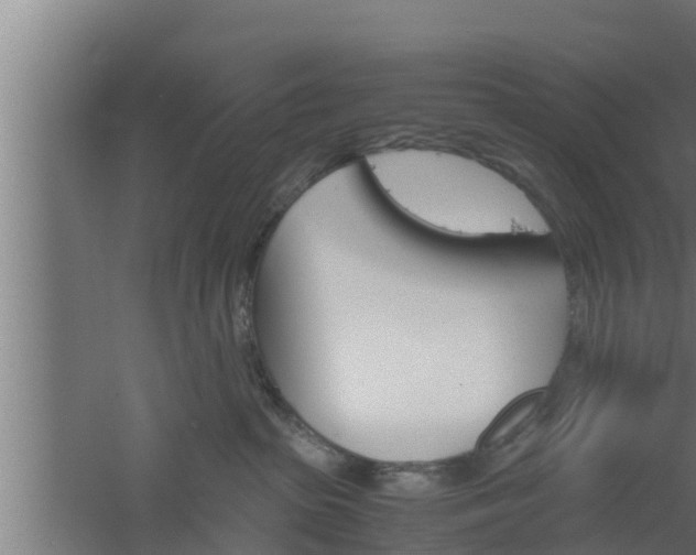 X0000061120285200511241718