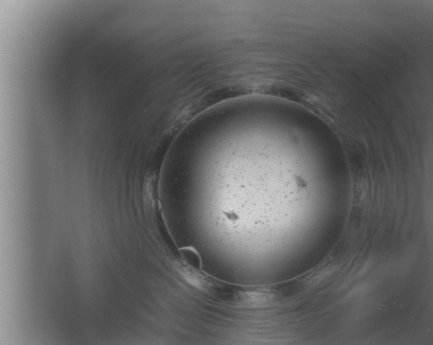 X0000061120286200511241718