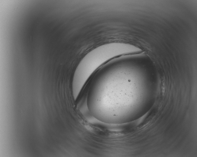 X0000061120287200511241718