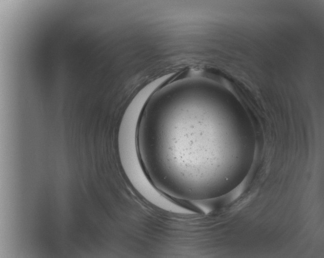 X0000061120288200511241718