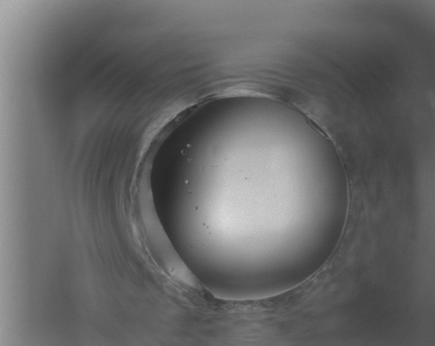 X0000061120289200511241717