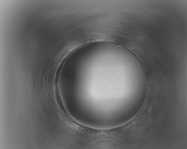 X0000061120290200511241717