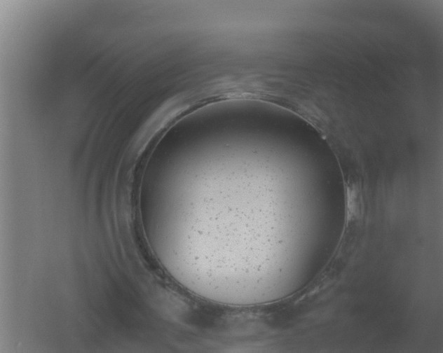 X0000061120291200511241717