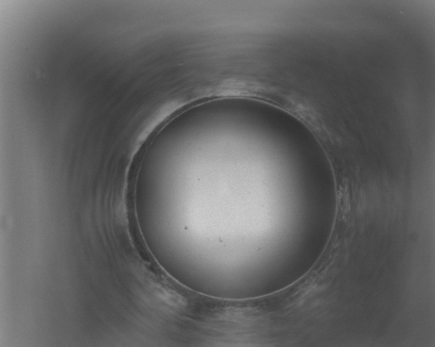 X0000061120292200511241717