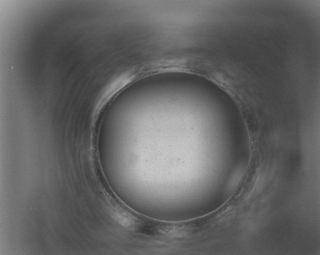 X0000061120293200511241717