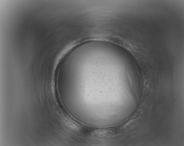 X0000061120294200511241717