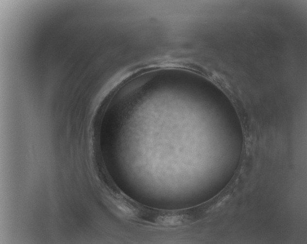 X0000061120295200511241717