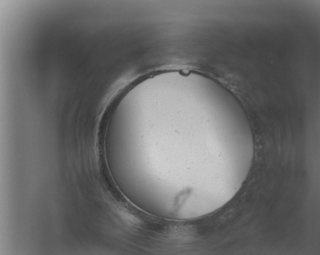 X0000061120296200511241717