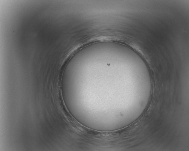 X0000061120297200511241717