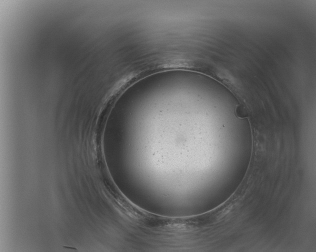 X0000061120298200511241717