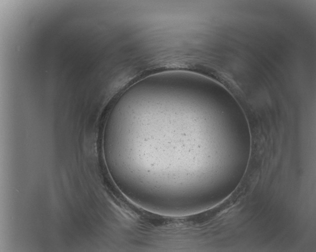 X0000061120299200511241717