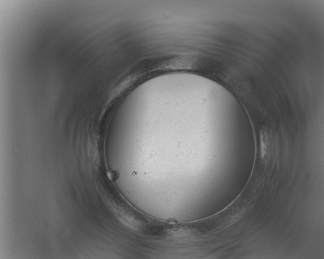 X0000061120300200511241717