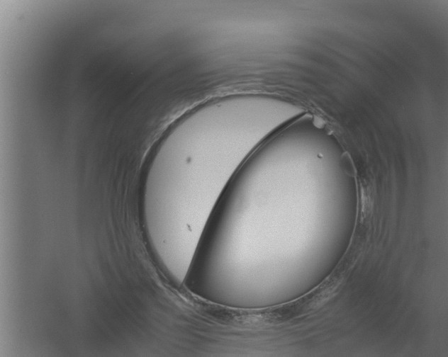 X0000061120301200511241717