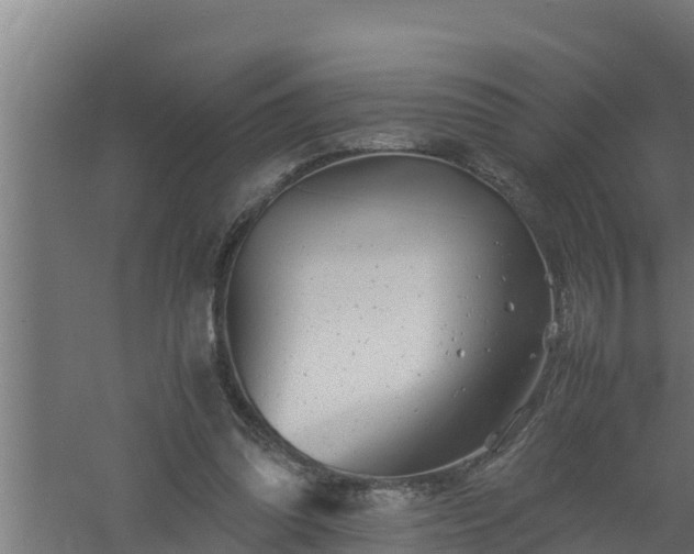 X0000061120302200511241717