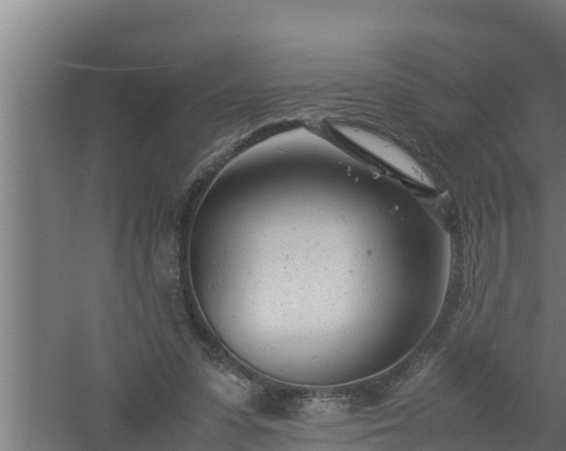 X0000061120303200511241717