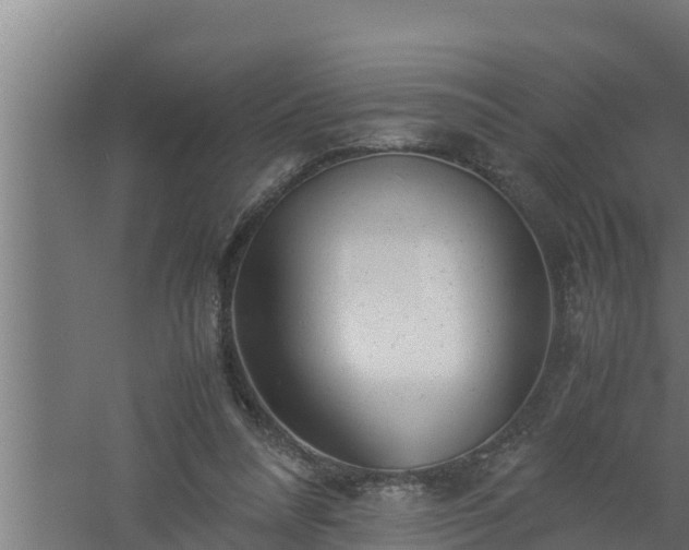 X0000061120304200511241717