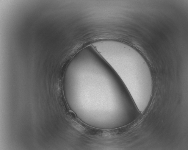 X0000061120305200511241717