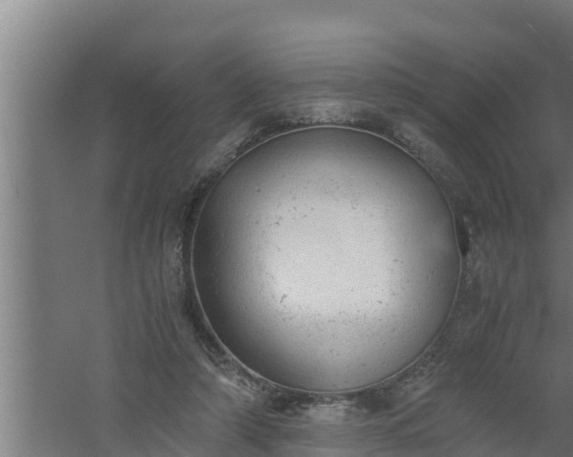 X0000061120306200511241717