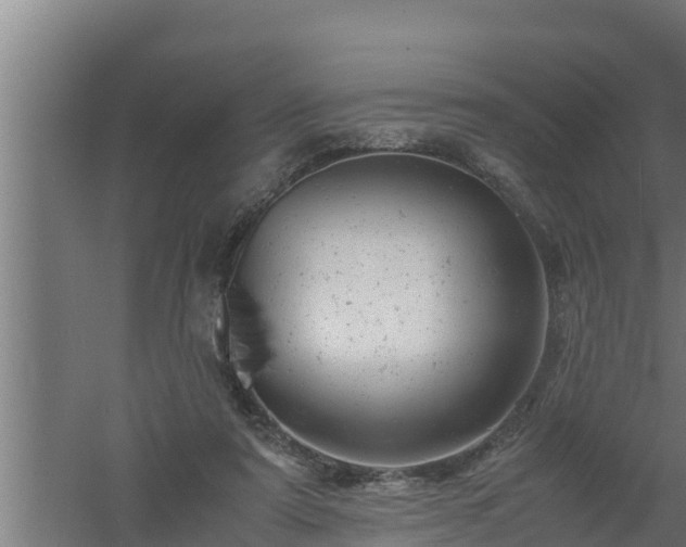 X0000061120307200511241717