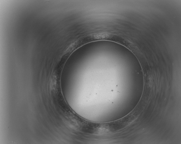 X0000061120308200511241717