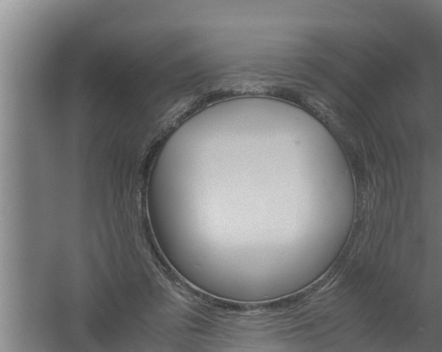 X0000061120309200511241717