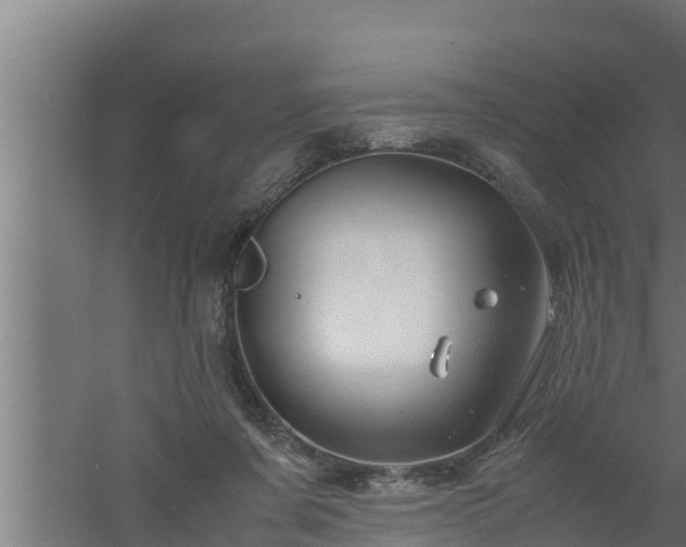 X0000061120311200511241717