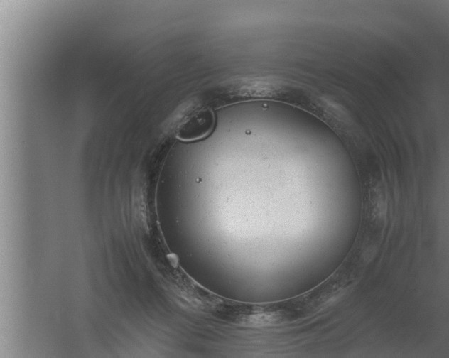 X0000061120312200511241717