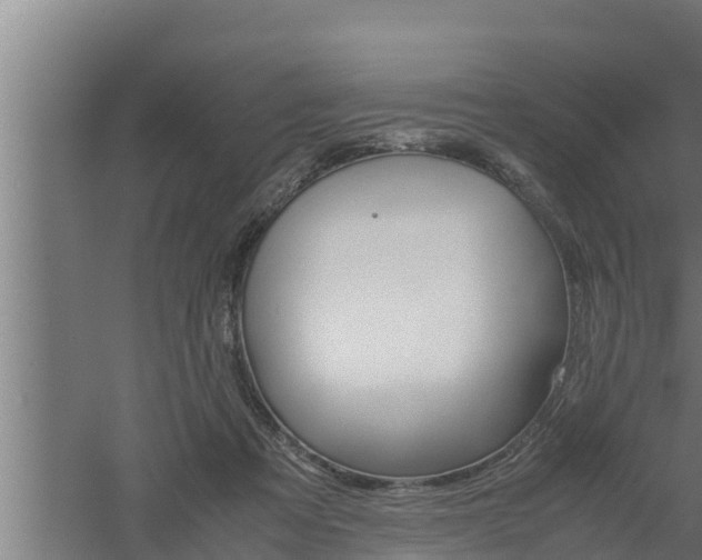 X0000061120313200511241717