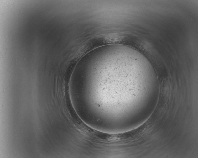 X0000061120315200511241717