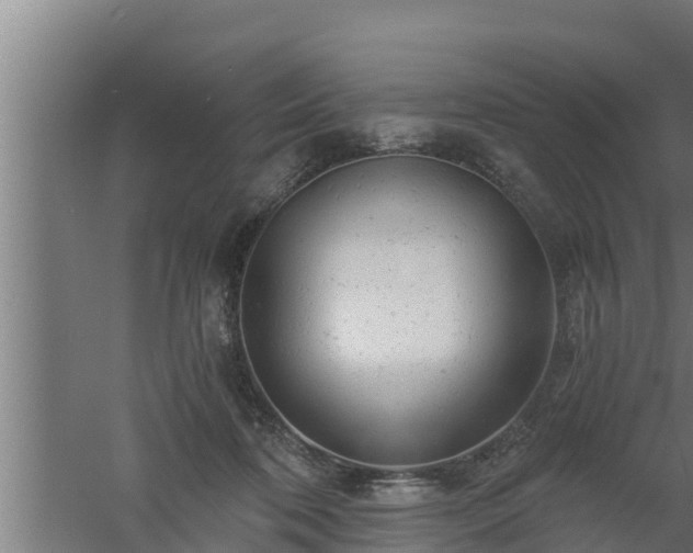 X0000061120316200511241717