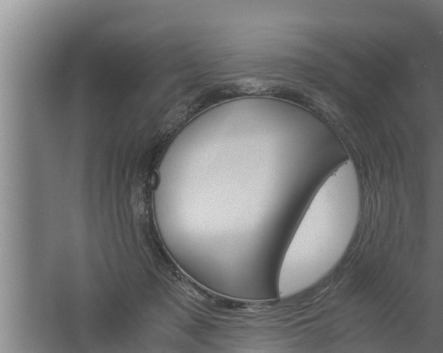 X0000061120317200511241717