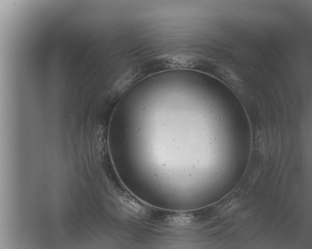 X0000061120318200511241717