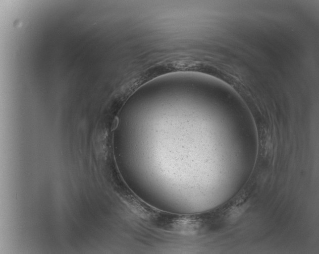 X0000061120319200511241717