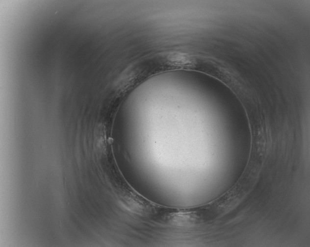 X0000061120320200511241717