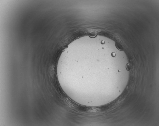 X0000061120321200511241717