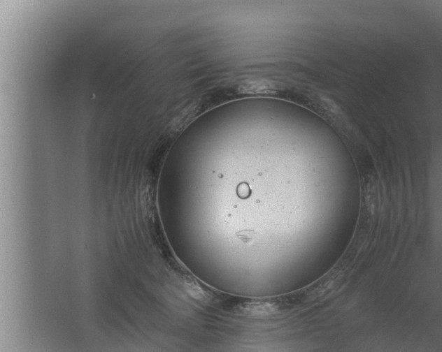 X0000061120322200511241717