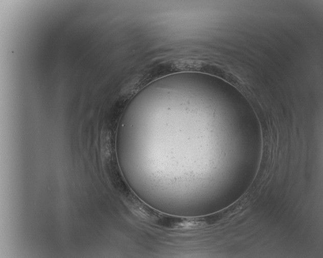 X0000061120323200511241717