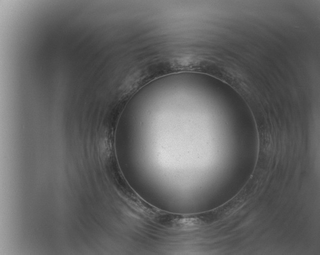 X0000061120324200511241717