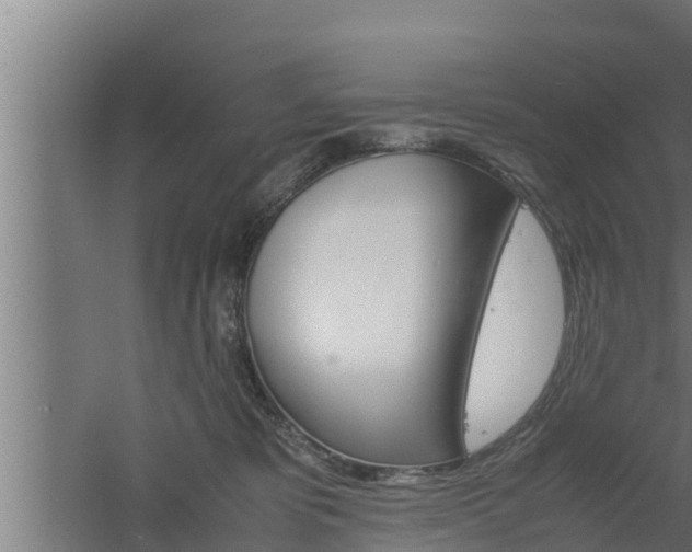 X0000061120325200511241717